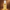 Body Oil
