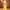 Cream Reserve Body Oil